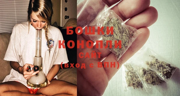 соль ск Новозыбков