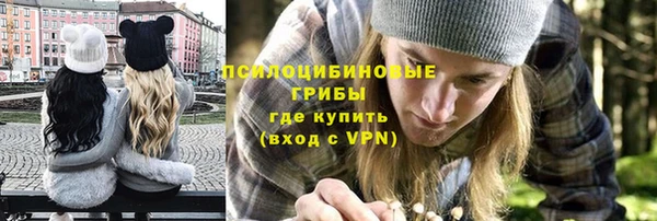 ALPHA PVP Надым
