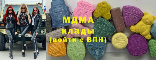 индика Богородск