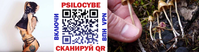 Псилоцибиновые грибы Psilocybe  Заполярный 